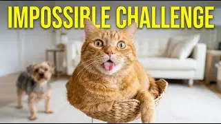 Try Not To Laugh Challenge 😂 Funniest Cats and Dogs 2026 😅 Part 5