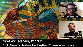 Genetic Testing for Panther Chameleon Locale Interview