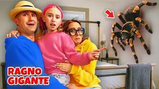 GIORGIA SCOPRE CHE UN RAGNO GIGANTE VIVE IN CASA NOSTRA! DOBBIAMO CATTURARLO!