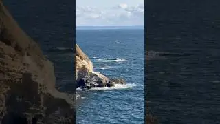 जपान मधील Hidden Sea Spot 🌊 | Jogashima Island #japan #india #shortvideo #japantravel #japanlife