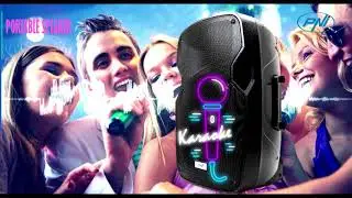 Tragbarer Lautsprecher PNI FunBox BT1800, RMS 180W, 12 Zoll Tieft&ouml;ner, mit Bluetooth DE