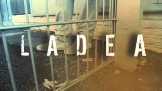 Teaser 
