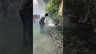 Pest control services fogging #pestcontrol #pestcontrolservice #pest #fogging #foggingmachine