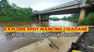 EXPLORE THE CISADANE FISHING SPOT Eps. 15 || Unexpectedly, Fishing on the Shores Strikes a Sili Fish