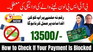 BISP 8171 Payment Suspension for Business Loan Takers | Ehsaas Program 2025 | 8171 Portal Update