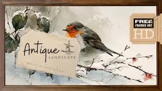 Free Digital Art I Robin I No Sound