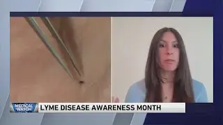Lyme disease awareness month