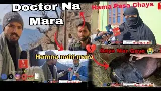 Doctor ne gay ko maar Diya hamen gay chahie yahan to hamen paise chahie. Injection Laga ke mara