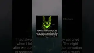 😰#horror #creepy #scary #horrorstory #story #cat