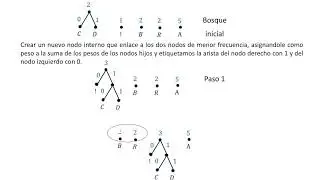 Algoritmo de Huffman 01 Comprensi&oacute;n de datos