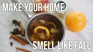 Tip Tuesday: DIY Fall and Winter Simmer Pot // Natural Home Scent