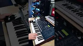 Korg MS2000 Lead solo with Chase Bliss Clean #korg #chaseblissaudio #shorts