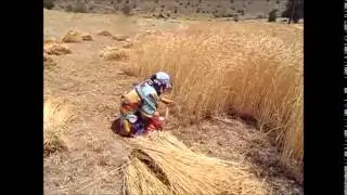 Bıllız ve Eşi