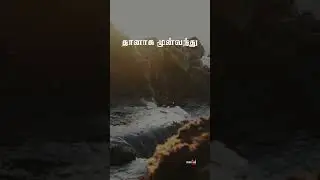 Asaathiyangal | John Jebaraj | Christian Whatsapp status | Christian Life