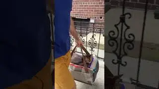 The Zeppelin Cat Carrier! It's here!