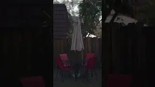 Tropical Storm Nicole, Florida