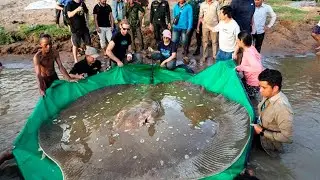 RECORDE MUNDIAL - PESCADOR FISGA MAIOR PEIXE DO MUNDO!