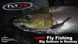 [TEASER] FLY TV - Fly Fishing Big Salmon in Norway
