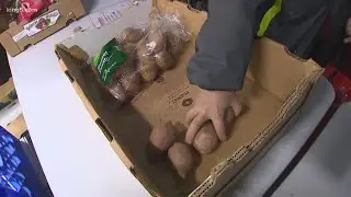 Seattle food bank that serves hundreds searches for new home