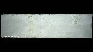 Reference Portland cement (CEM III/B 32.5 L-LH/SR) 7 days