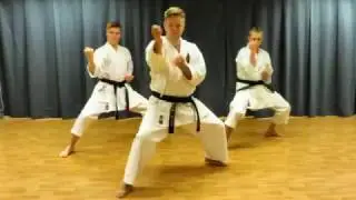 Lappeenrannan Shukokai karaten peruskurssi 2017