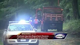 Strong storms take down trees in Strafford