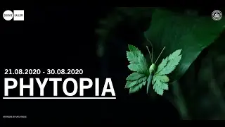 PHYTOPIA Highlights