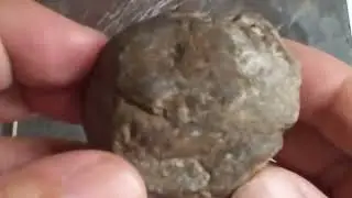 Lunar anorthosite #anorthositebreccia #lunarmeteorite (unclassified)