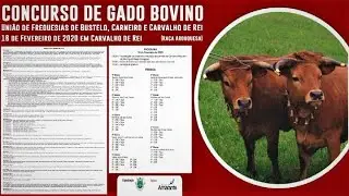 CONCURSO de GADO BOVINO-Feira do  Fumeiro-CARVALHO de REI-2020