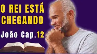 #012 PROJETO ATOS DOS AP&Oacute;STOLOS - JO&Atilde;O 12: |A Entrada Triunfal em Jerusal&eacute;m e o Gr&atilde;o de Trigo|
