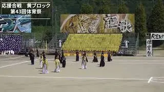 応援合戦-第43回体育祭