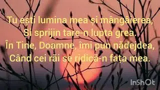 Negativ(ton jos)&Versuri - În casa Ta(stanca)