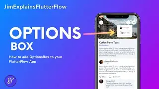 FlutterFlow - Options Box