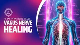 🧘 Parasympathetic Reset 🧘 432Hz Vagus Nerve Healing | Relax, Repair & Restore Inner Balance