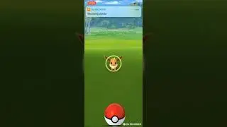 CATCHING NEW POK&Eacute;MON and FAILING A Foundable #Pokemongo #Wizardsunite #Harrypotter #HPWU