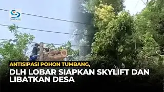 DLH Lobar Kewalahan Tangani Perantingan Pohon, Desa Diminta Aktif dan Skylift Segera Dibeli