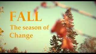 Fall the season of change - Waterloo Park (Cinematic poem)
