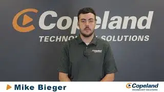 Copeland Technology Solutions - What is cybersecurity insurance and why your business needs it