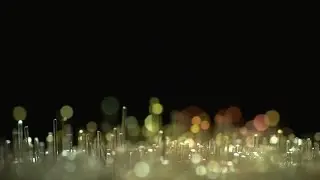 Beachfront B-Roll: Fiber Optic Tips (Free to Use HD Stock Video Footage)