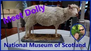 National Museum of Scotland 2019 (Free things to do in Edinburgh)