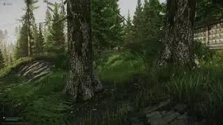Tarkov - Hungry Hatchling
