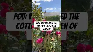 My garden of dreams #newbuildgarden #gardener #garden #gardeninspo #newbuild #cottagegarden
