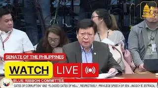 🔴LIVE: Blue Ribbon Committee SHOCKING Revelations | &ldquo;Philippines Under Water&rdquo; Senate Inquiry Replay