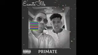 Primate - &Eacute;coute Fils (Audio)