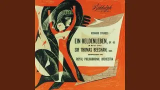 Ein Heldenleben, Op. 40, TrV 190: V. Des Helden Friedenswerke