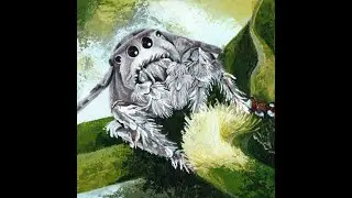 Timelapse - Jumping spider - Acrylic painting