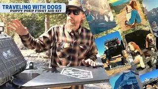 Traveling with Dogs | Overland Life on the Road | Puppy First Aid Kit