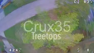 Crux35 analog worth it?