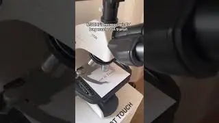 What Happened to MSCHF'S Microscopic Louis Vuitton Bag?