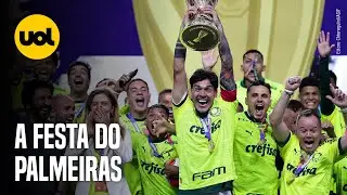 PALMEIRAS CAMPEÃO PAULISTA 2024! VEJA A PREMIAÇÃO E COMEMORAÇÃO DOS JOGADORES NO GRAMADO